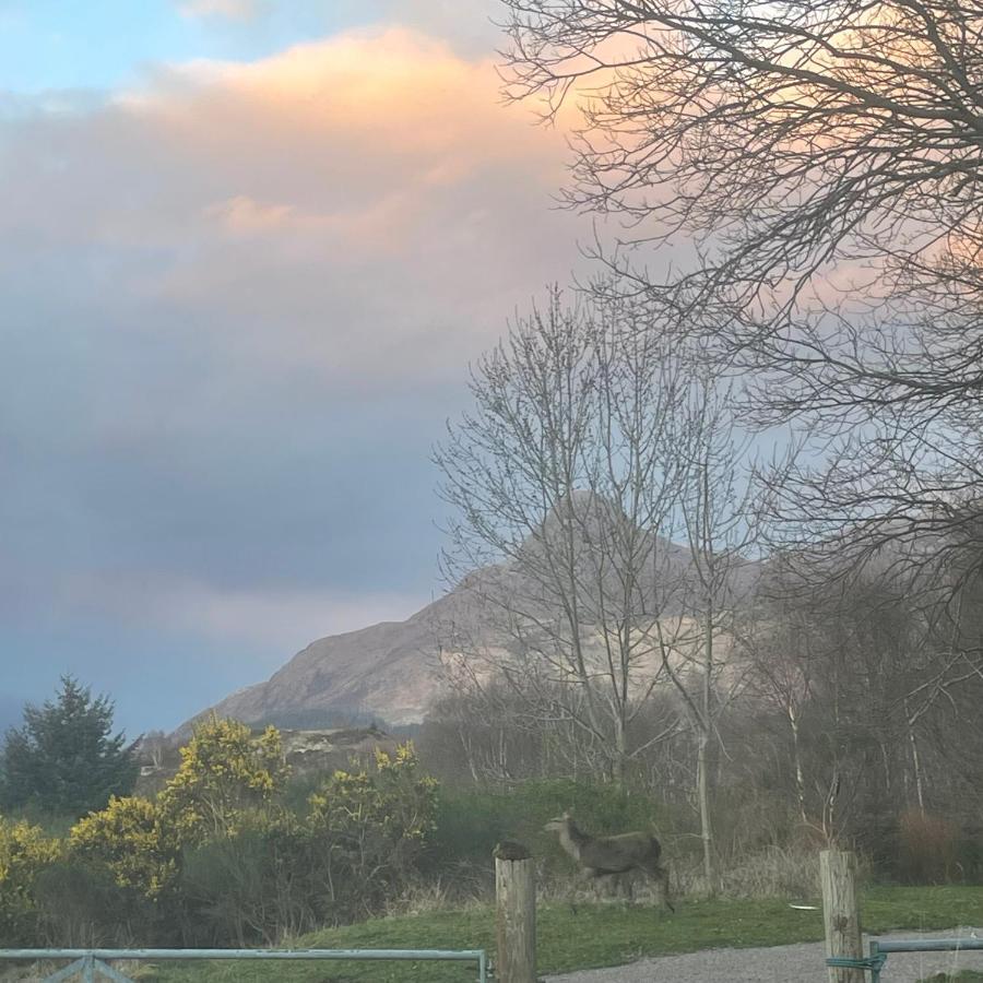 Craigavon Cottage Ballachulish Eksteriør billede